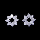 Korean Style Sterling Silver 925 Flower Shaped Earrings Stud With AAA Zircon